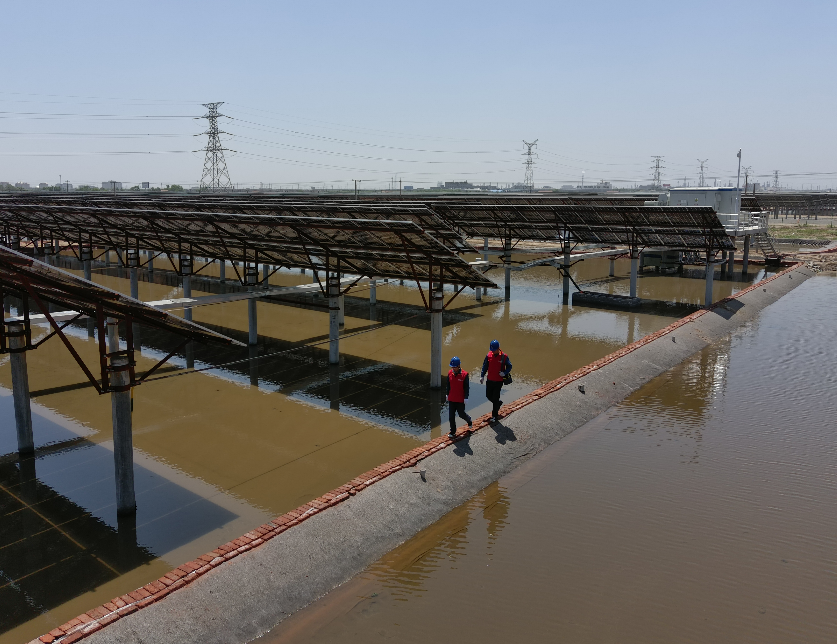 星空(中国)省电线电缆行业星空(中国)